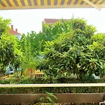 Sunny Side * 자다르